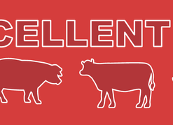 Sauces & Rubs Blues Hog Tennesee Red BBQ Sauce Squeeze Bottle (24oz) 9 Sauces & Rubs Blues Hog Tennesee Red BBQ Sauce Squeeze Bottle (24oz)