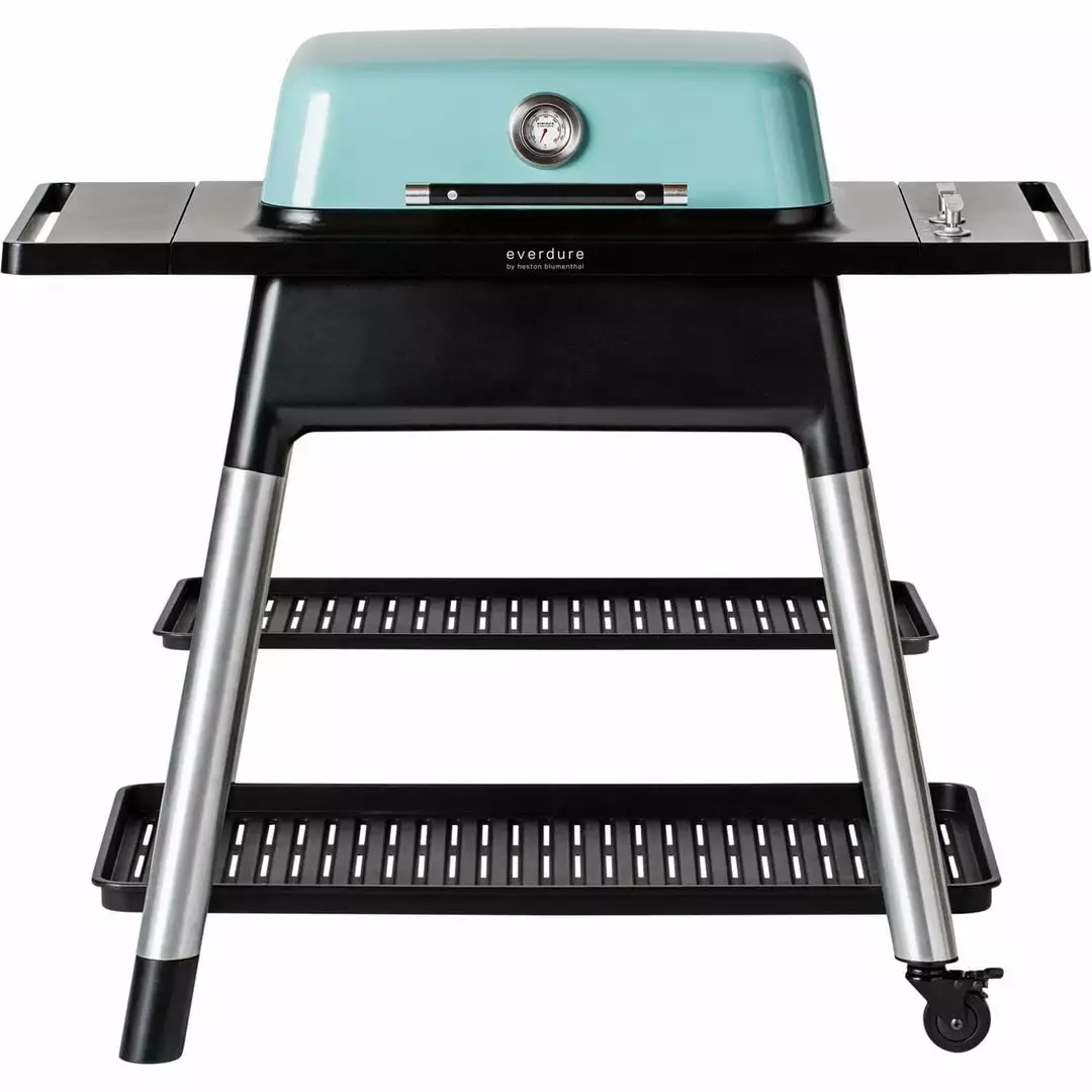 BBQs & Smokers Everdure 2 Burner Gas BBQ - Force 2 BBQs & Smokers Everdure 2 Burner Gas BBQ - Force