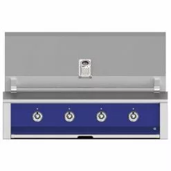 BBQs & Smokers Hestan 42