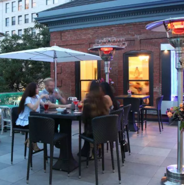 IR Energy Portable Patio Heater GA301MP EvenGlo (Natural Gas) 4 IR Energy Portable Patio Heater GA301MP EvenGlo (Natural Gas)