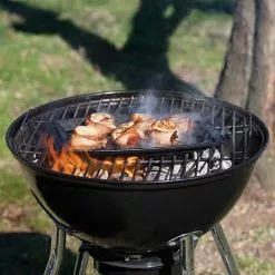 Lodge Cast Iron Rectangular Griddle (11.5