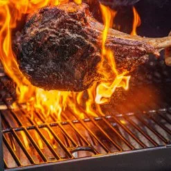 Louisiana Grills 1200 Black Label Series Grill With WIFI Control