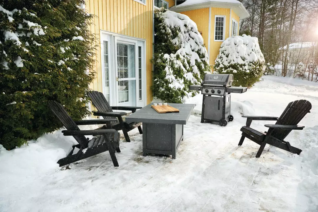 Napoleon Freestyle 365 Gas Grill (Graphite Grey) 5 Napoleon Freestyle 365 Gas Grill (Graphite Grey)