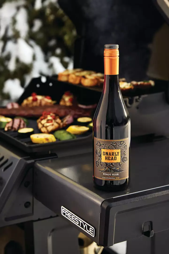 Napoleon Freestyle 365 Gas Grill (Graphite Grey) 4 Napoleon Freestyle 365 Gas Grill (Graphite Grey)