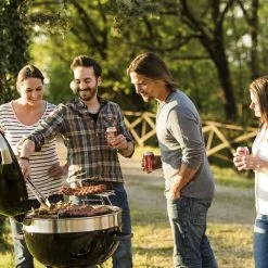 Napoleon PRO Charcoal Kettle Grill PRO22K-LEG-2 BBQs & Smokers