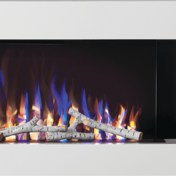 Fireplaces & Heaters Napoleon Stylus Cara 59