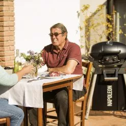 BBQs & Smokers Napoleon TravelQ PRO 285 (BLACK) Portable BBQ PRO285