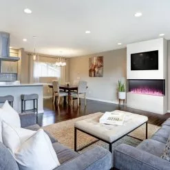 Napoleon Trivista Primis 50