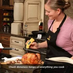 ThermoWorks Classic Super-Fast Thermapen THS-231