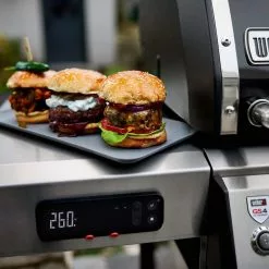 Weber Genesis II EX-315 Smart BBQ 19 Weber Genesis II EX-315 Smart BBQ