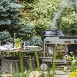BBQs & Smokers Weber Performer Premium 22