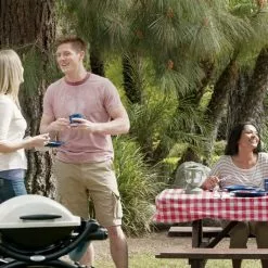 BBQs & Smokers Weber Q1000 - Portable Propane Barbecue 50060001