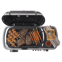 Weber TRAVELER Propane Grill