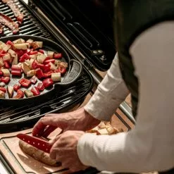 BBQs & Smokers Weber Traveler RV Gas Grill