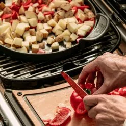 BBQs & Smokers Weber Traveler RV Gas Grill