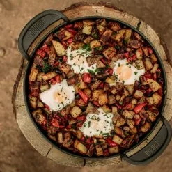 BBQs & Smokers Weber Traveler RV Gas Grill