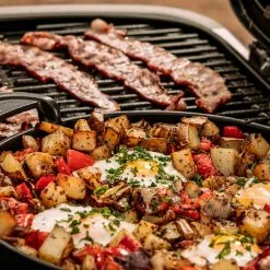 BBQs & Smokers Weber Traveler RV Gas Grill