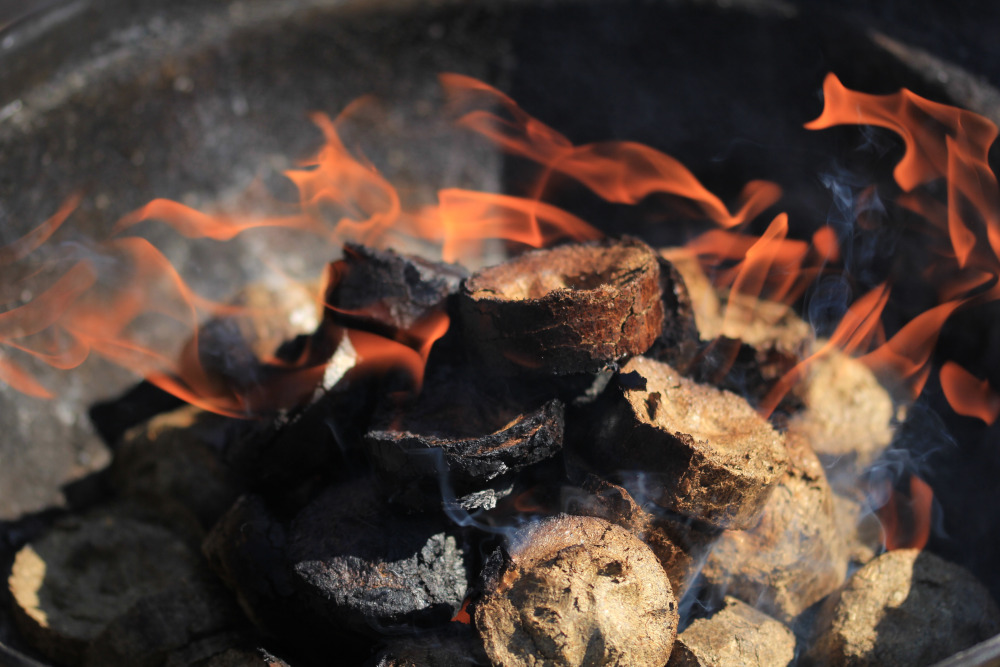 Cheap BBQing Store -Cheap BBQing Store terravesta 2018 jun